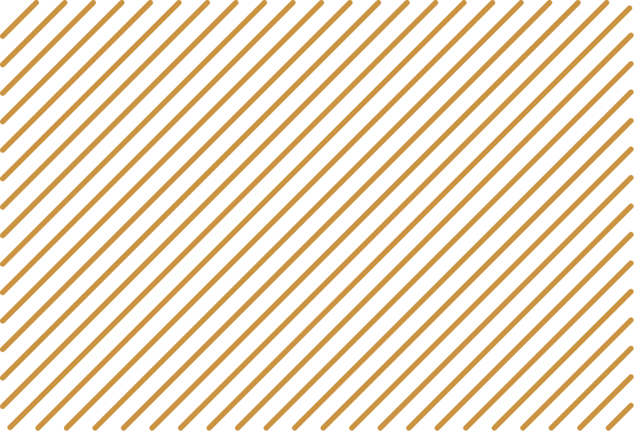 Hero Video Bg Pattern